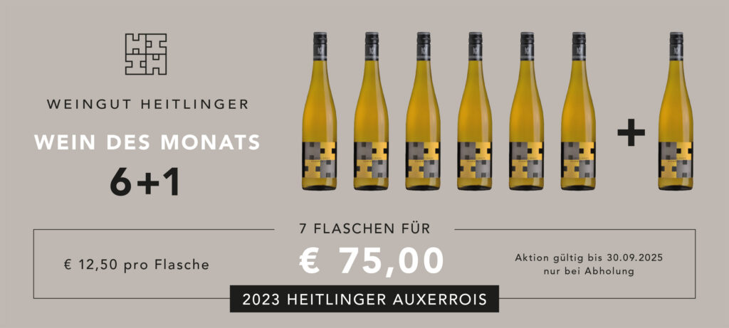 Wein des Monats September 2025: 2023 Heitlinger Auxerrois, 7 Flaschen für 75 €