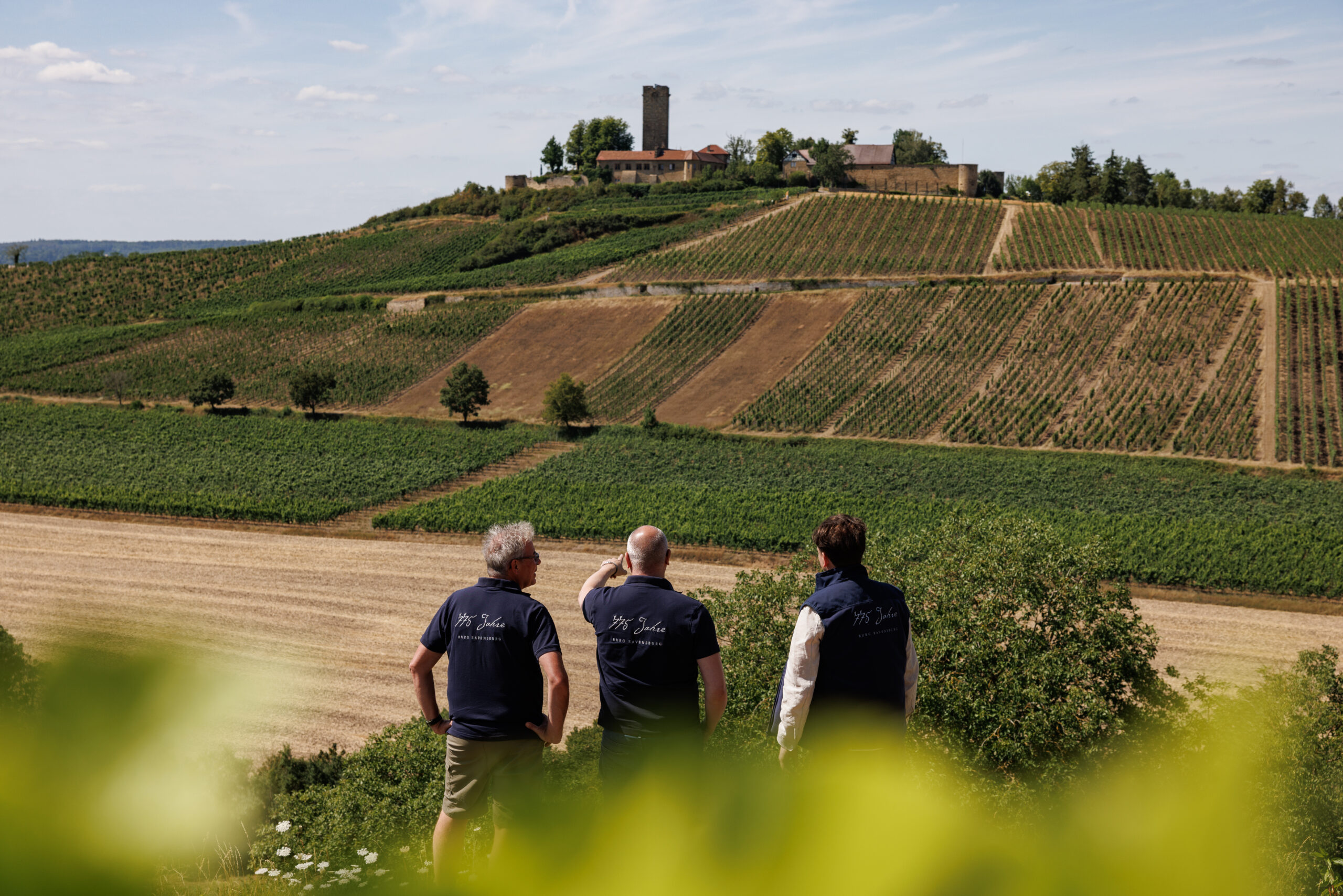 Drei Männer blicken auf die Weinberge unterhalb der Burg Ravensburg