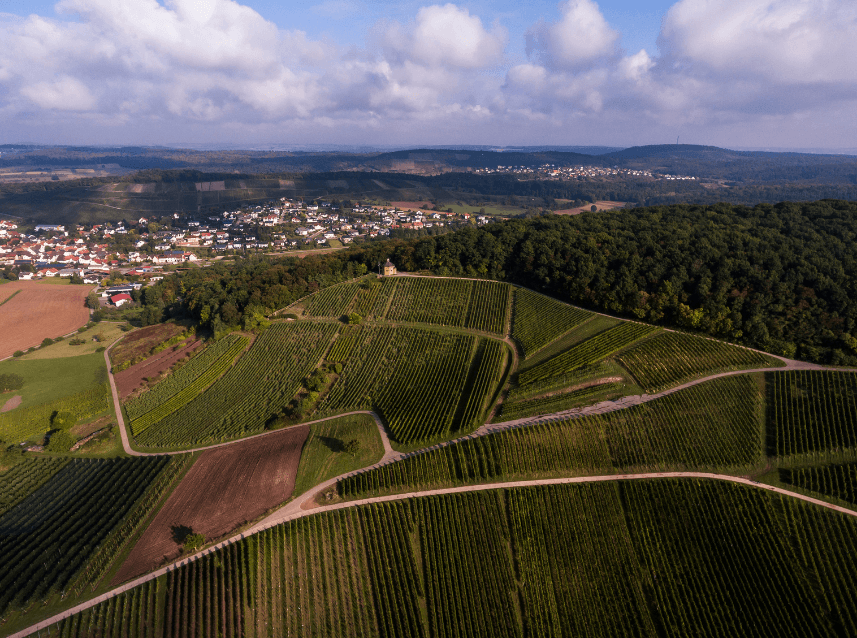 Luftaufnahme der Weinberge im Kraichgau mit Feldwegen, Wald und Ortschaft im Hintergrund