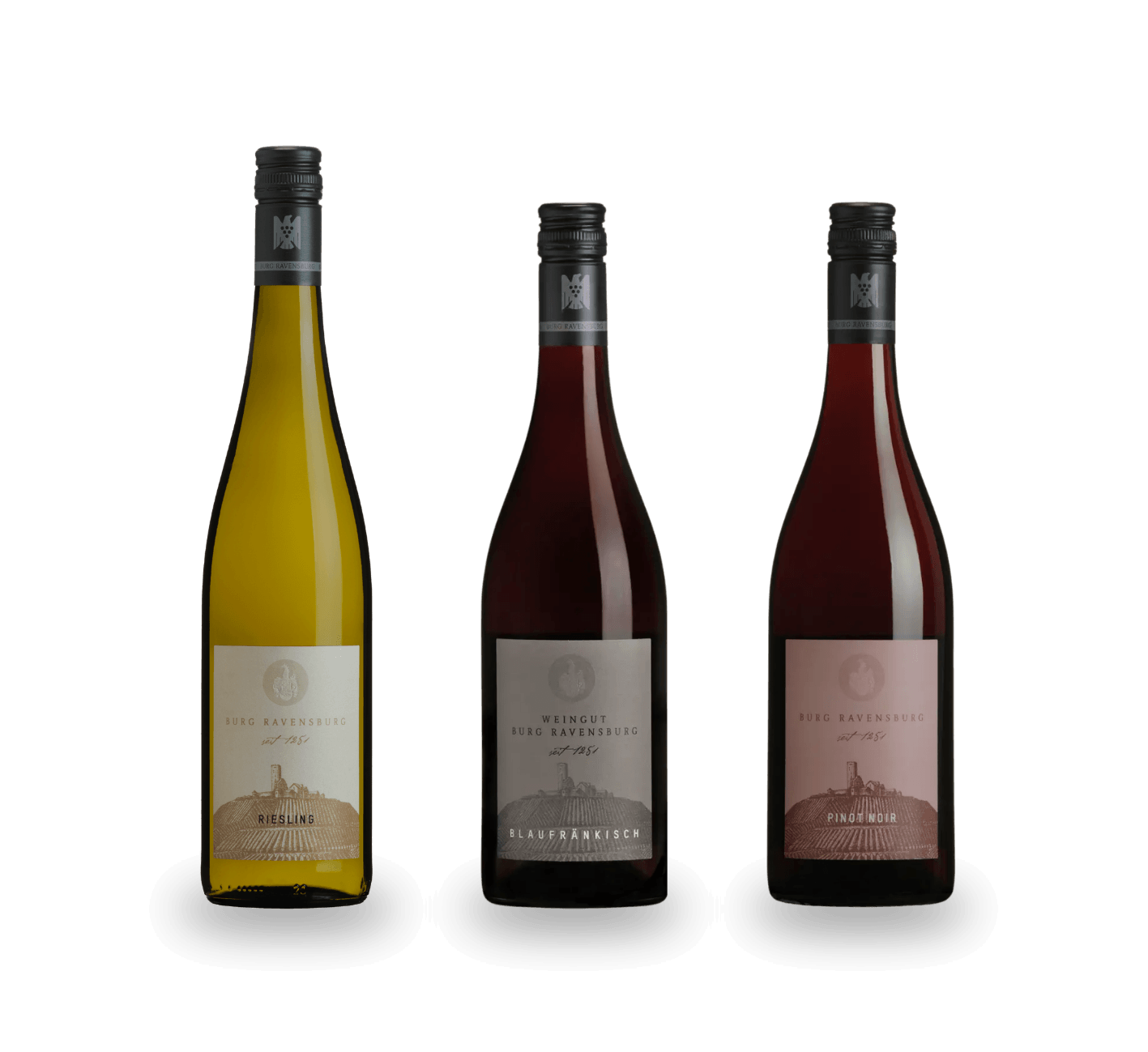 Gutsweine von Burg Ravensburg: Riesling, Blaufränkisch und Pinot Noir