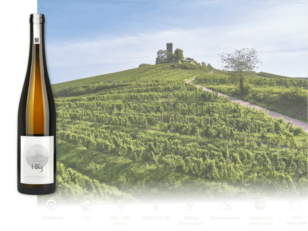 Weißweinflasche HK3 vor dem Weinberg Husarenkappe mit Burgruine