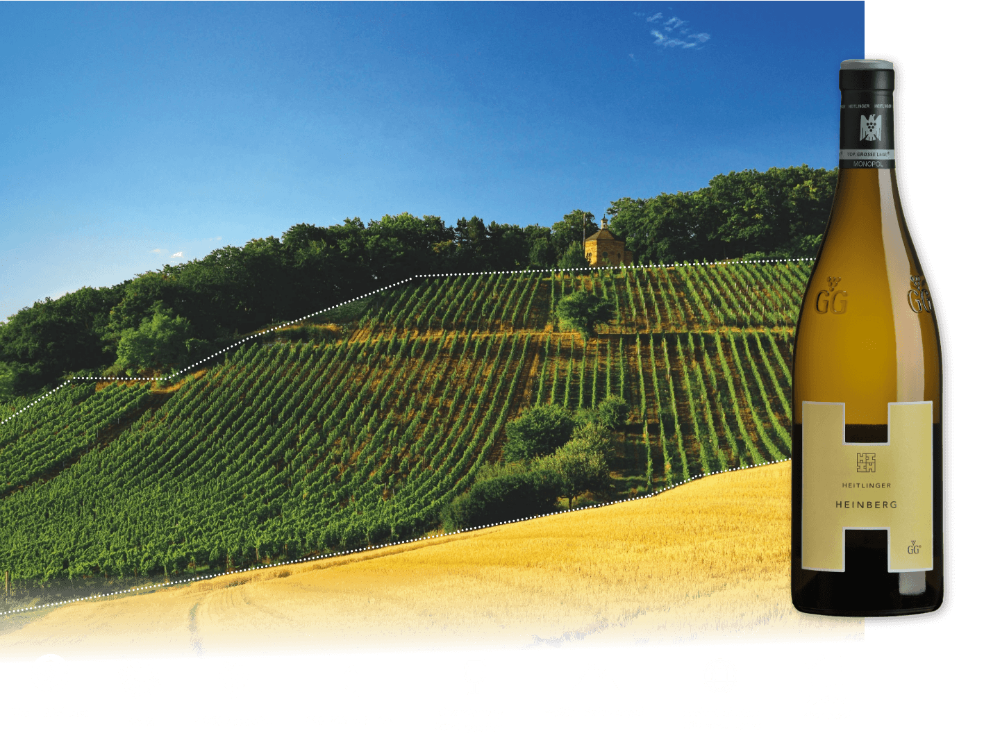 Weißweinflasche Heinberg vor dem Weinberg mit eingezeichneter Lagengrenze