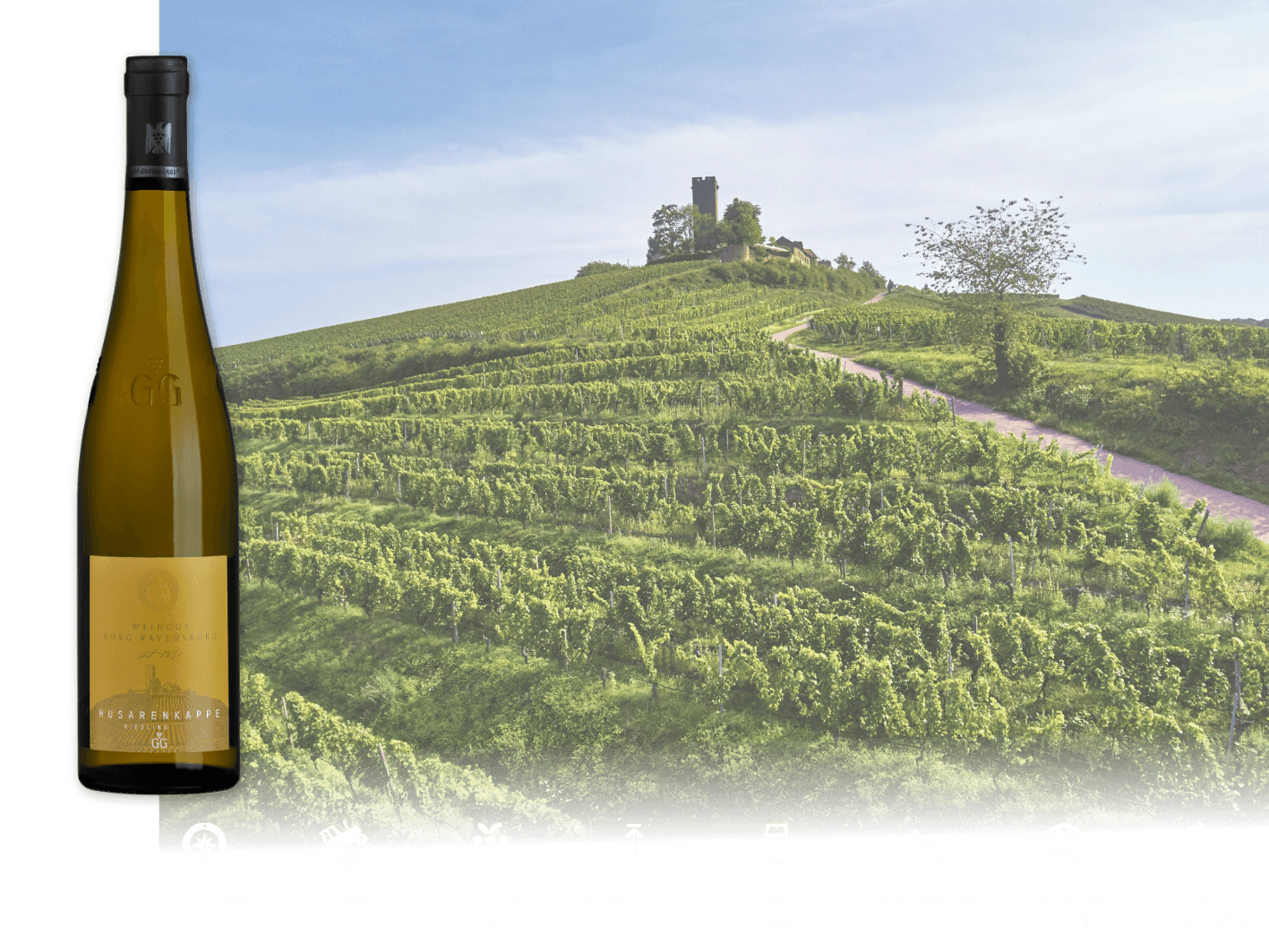 Weißweinflasche Husarenkappe vor dem Weinberg mit Burgruine auf der Kuppe