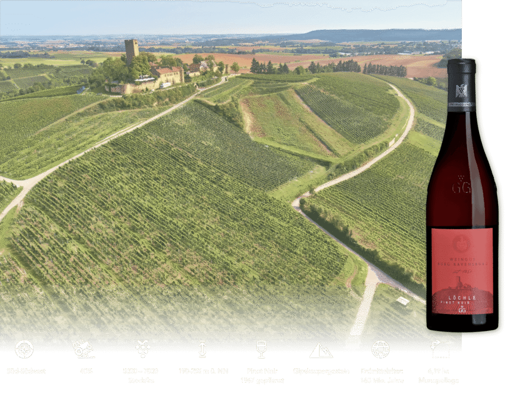 Rotweinflasche Löchle vor Luftbild der Weinberge an der Burg Ravensburg