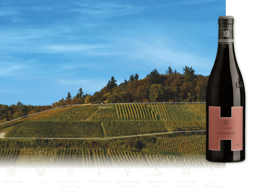 Rotweinflasche Wormsberg vor herbstlichem Weinberg mit markierter Lage